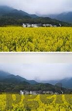 皇冠手机比分网足球比分90vs足球比分-揭秘皇冠手机比分网,足球比分90VS背后的数据江湖与观赛新体验