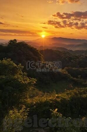 美职足球直播比分-美职足球直播比分,球迷的实时激情与深度解析