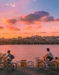 足球比分哪个靠谱-足球比分哪家强？深度剖析靠谱之选